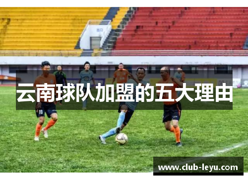 云南球队加盟的五大理由