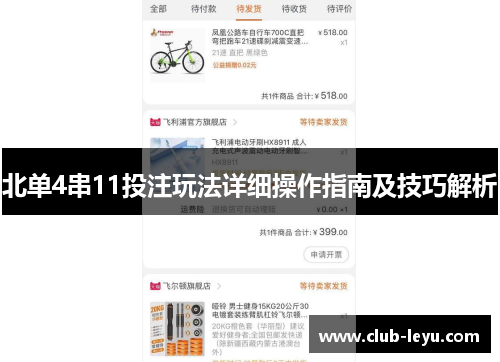 北单4串11投注玩法详细操作指南及技巧解析