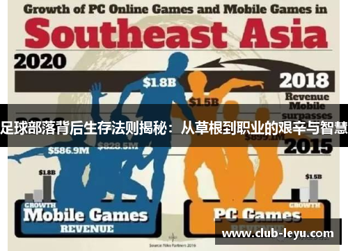 足球部落背后生存法则揭秘：从草根到职业的艰辛与智慧