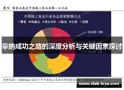 辛纳成功之路的深度分析与关键因素探讨